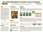 Does Aphid Feeding Trigger the Production of H202 in Wild Barley? by Richard Justin Holewa
