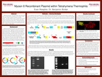 Myosin 8 Recombinant Plasmid within Tetrahymena Thermophilla by Evan T. Meagher